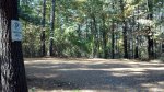 Click to enlarge Harold Parker State Forest, Massachusetts, United States.
