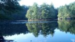 Click to enlarge Harold Parker State Forest, Massachusetts, United States. Collins Pond
