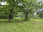 Click to enlarge Alpine Campground, Michigan, United States. River Area.