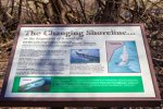Click to enlarge Bay City State Rec Area, Michigan, United States. Multiple interpretive signs along the trails focus on the wetland habitats.