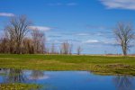 Click to enlarge Bay City State Rec Area, Michigan, United States. Picnic area between the playground and the beach.