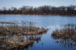Click to enlarge Bay City State Rec Area, Michigan, United States. Shoreline of Tobico Marsh.