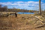 Click to enlarge Bay City State Rec Area, Michigan, United States. Wetlands along the hiking trail.
