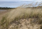 Click to enlarge Cheboygan State Park, Michigan, United States.