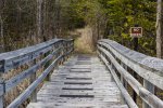 Click to enlarge Harrisville State Park, Michigan, United States. Hiking trail at Harrisville.