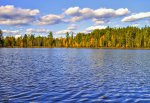 Click to enlarge Hartwick Pines State Park, Michigan, United States. Bright Lake is one of two lakes located within Hartwick Pines State Park.