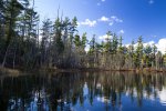 Click to enlarge Hartwick Pines State Park, Michigan, United States. Along the shores of Glory Lake. There are fishing piers on Bright and Glory Lakes. Both lakes are non-motorized and neither have a designated swimming area.