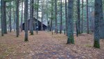 Click to enlarge Hartwick Pines State Park, Michigan, United States. At over 9,000 acres, Hartwick is one of the largest parks in Michigan. It is the only place in the lower peninsula where the public can view an old growth forest.