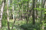 Click to enlarge Lakeport State Park, Michigan, United States.