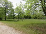 Click to enlarge Lakeport State Park, Michigan, United States. Day use area