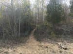 Click to enlarge Lakeport State Park, Michigan, United States. Few small paths to beach from camping areas