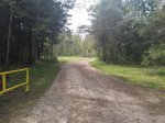 Click to enlarge Lakeport State Park, Michigan, United States. Road to pavilion area