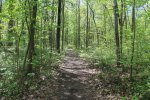 Click to enlarge Lakeport State Park, Michigan, United States. Trail between camping areas