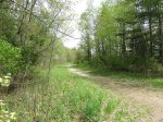 Click to enlarge Lakeport State Park, Michigan, United States. Trail in day use area