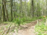 Click to enlarge Lakeport State Park, Michigan, United States. Trail in day use area