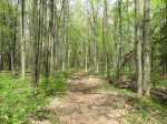 Click to enlarge Lakeport State Park, Michigan, United States. Trail in day use area