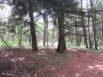 Click to enlarge Lakeport State Park, Michigan, United States. Trail in day use area.