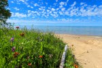 Click to enlarge Hiawatha National Forest, Michigan, United States. Wildflowers and beach in Michigan Rec. Area