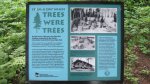 Click to enlarge Itasca State Park, Minnesota, United States. A sign talking about trees.