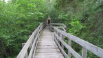 Click to enlarge Itasca State Park, Minnesota, United States. Boardwalk through the bog. You walk on this to get to the Old Timers Cabin.