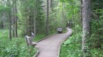 Click to enlarge Itasca State Park, Minnesota, United States. Boardwalk through the bog. You walk on this to get to the Old Timers Cabin.
