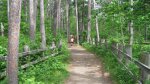 Click to enlarge Itasca State Park, Minnesota, United States. Trail leading to the Indian Burial Mounds.