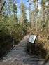 Click to enlarge Bog Walk