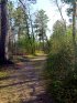Click to enlarge Lake Bemidji State Park, Minnesota, United States. Path to Bog Walk