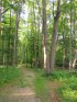 Click to enlarge Lake Carlos State Park, Minnesota, United States. Trail