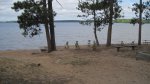 Click to enlarge McCarthy Beach State Park, Minnesota, United States. Beach and swimming area.