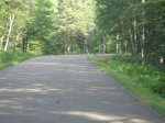 Mille Lacs Kathio State Park, Minnesota, United States. Lots of deer to see at this park.