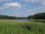 Mille Lacs Kathio State Park, Minnesota, United States. Nice sunny day. View of the water and field.