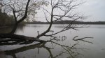 Myre - Big Island State Park, Minnesota, United States. Albert Lea Lake.