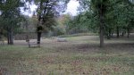 Click to enlarge St. Croix State Park, Minnesota, United States. Picnic area by the beach.