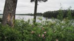 Click to enlarge Scenic State Park, Minnesota, United States.