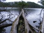 Click to enlarge Scenic State Park, Minnesota, United States.