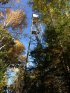 Click to enlarge Scenic State Park, Minnesota, United States. Firetower