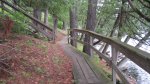 Click to enlarge Scenic State Park, Minnesota, United States. The boardwalk.