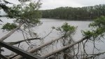Click to enlarge Scenic State Park, Minnesota, United States. View of the lake from the boardwalk.