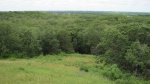 View from on top of Mount Tom.