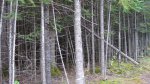 Tettegouche State Park, Minnesota, United States. 