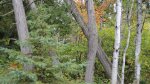 Tettegouche State Park, Minnesota, United States. 