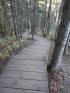 Tettegouche State Park, Minnesota, United States. The DNR did a great job in making some of these areas more easily accessible with lots of stairs and wooden walking paths.  There are A LOT of stairs to climb up and down to see the various waterfalls.  