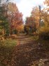 Tettegouche State Park, Minnesota, United States. The walk to Tettegouche Camp.  It is 1.5 miles long - half of it up hill and the other half down hill.  