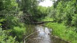 Click to enlarge Wild River State Park, Minnesota, United States.