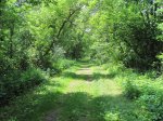 Click to enlarge Wild River State Park, Minnesota, United States. Damn trail. This goes from the picnic area to the Old Nevers Damn site.