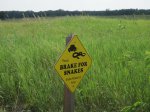 Click to enlarge Wild River State Park, Minnesota, United States. Brake for snakes. Snake research area. Mainly garter snakes and Bull Snakes.