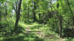 Click to enlarge Wild River State Park, Minnesota, United States. Mitigwaki loop hiking trail.