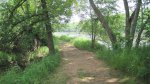 Click to enlarge Wild River State Park, Minnesota, United States. River Trail.
