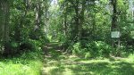 Click to enlarge Wild River State Park, Minnesota, United States. This is the military road.
